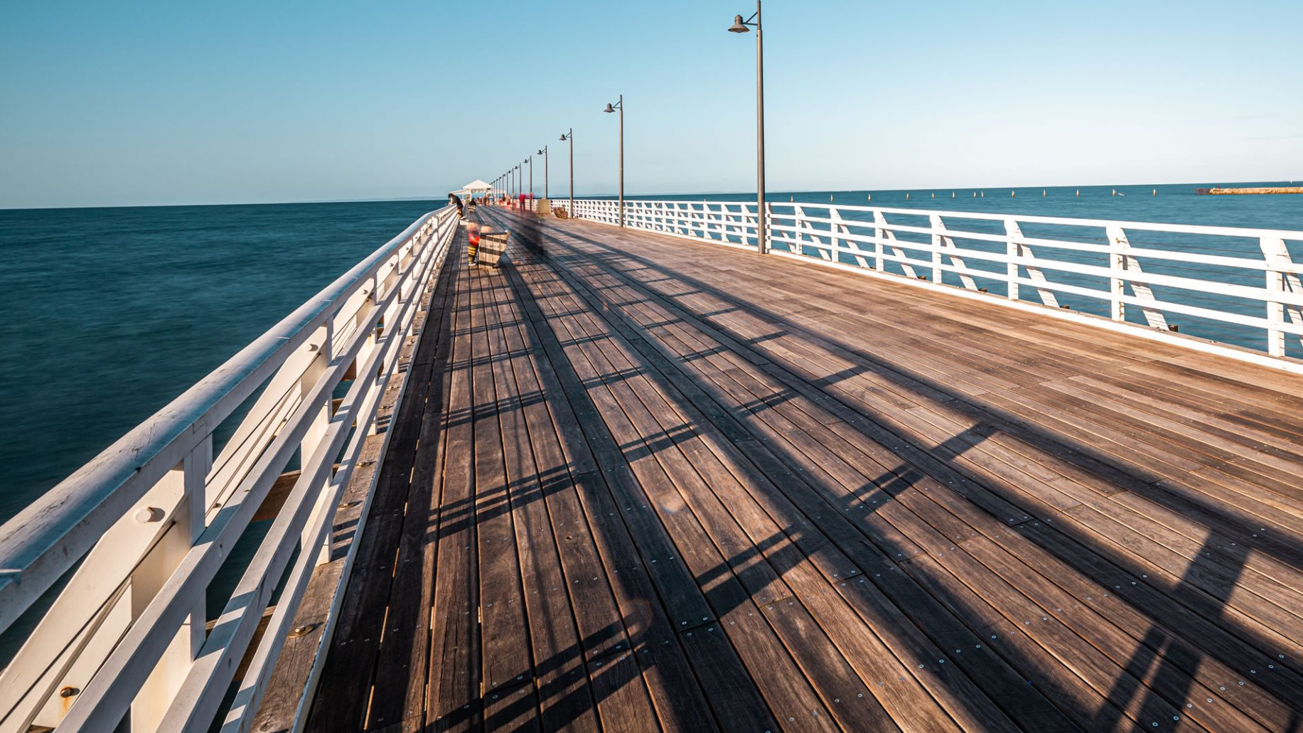 shorncliffe-pier-spotted-gum-mass-timber-4.png
