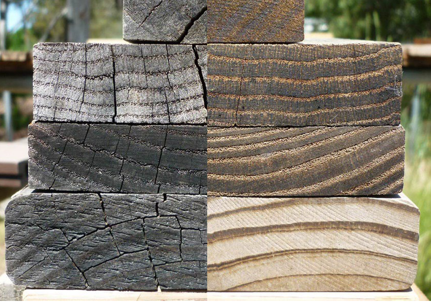 Image showing wood coated in oil vs unprotected